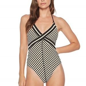 Robin Piccone Carmen V-Neck One Piece Swimsuit